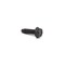 Briggs & Stratton SCREW 794451 - alternate 1